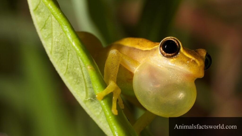 what animals do worms eat